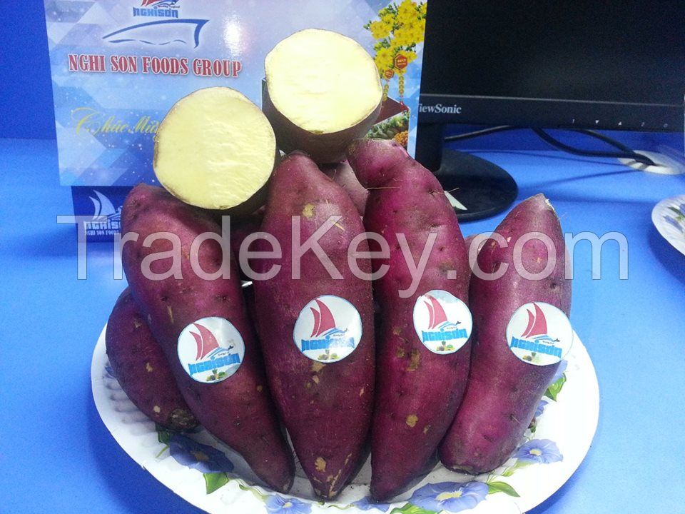 VIETNAMESE SWEET POTATO 0084 342 82 8779