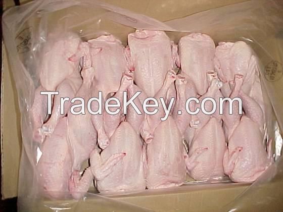 Frozen whole Halal Chicken 