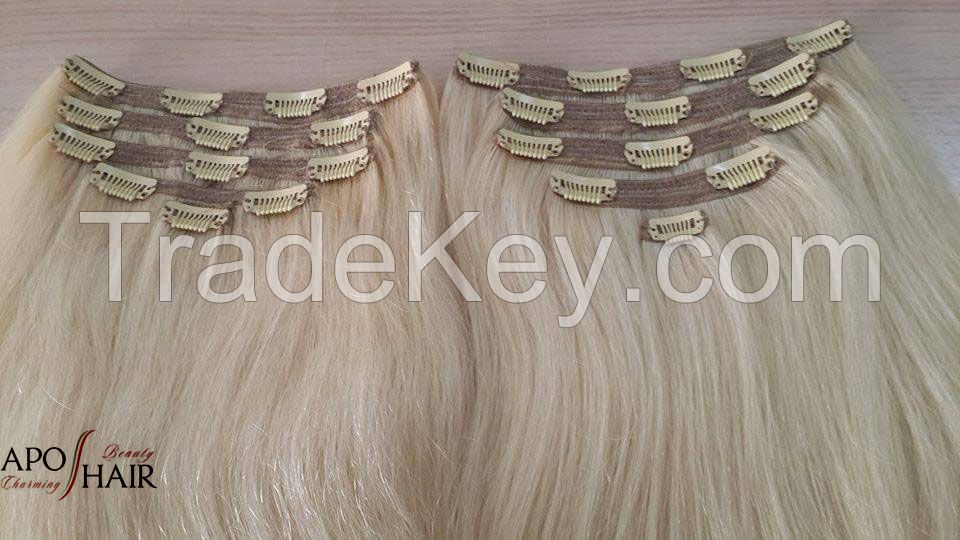 Vietnamese Remy Human Clip-In Hair