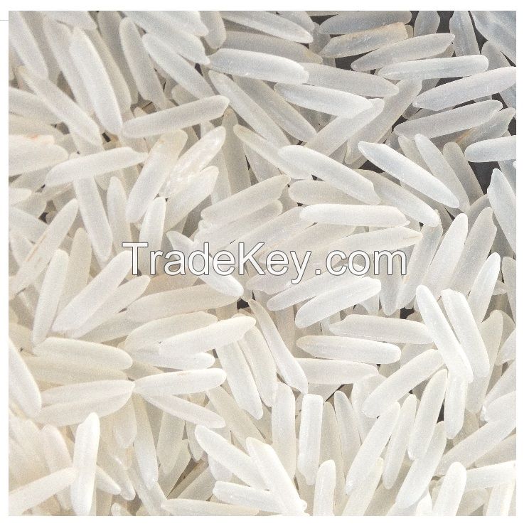 5% broken long grain Jasmine rice for export