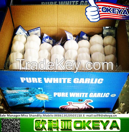 white garlic