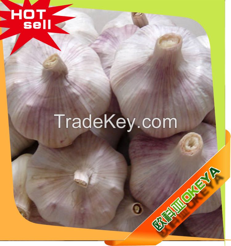 white garlic