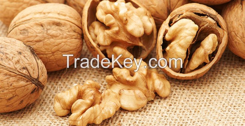 Walnut Kernels , Natural Unshelled Walnuts walnuts in shell or kernel 