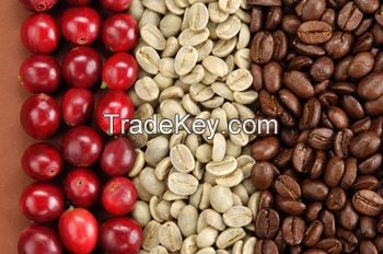 Robusta and Arabica coffee beans