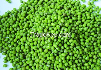 mung bean