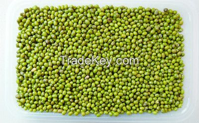 mung bean