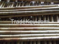 Bamboo pole  