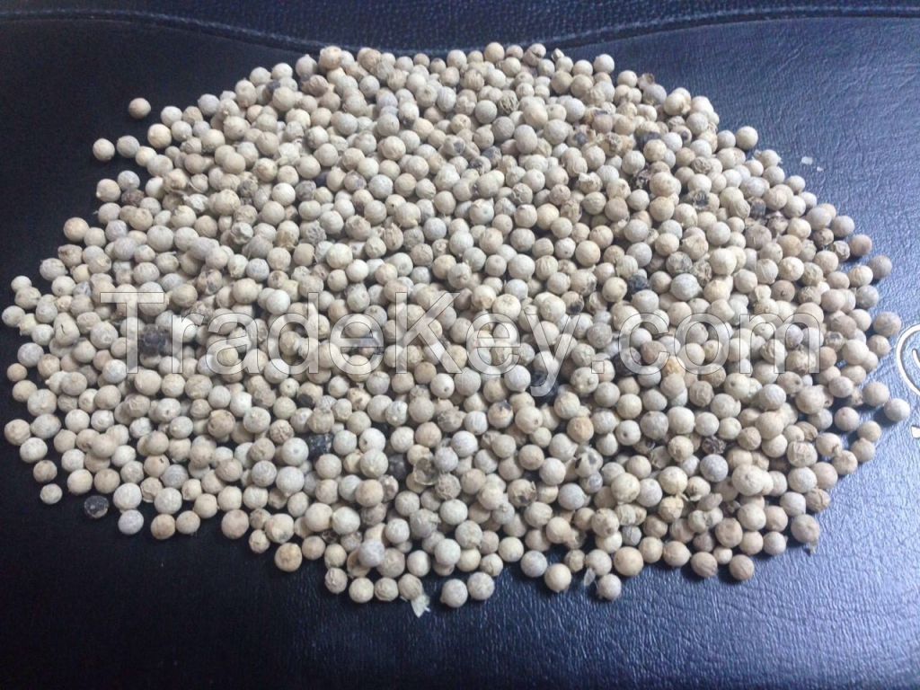 Reliable Supplier for White Pepper Top Quality Spice (Skype: hanfimex08)