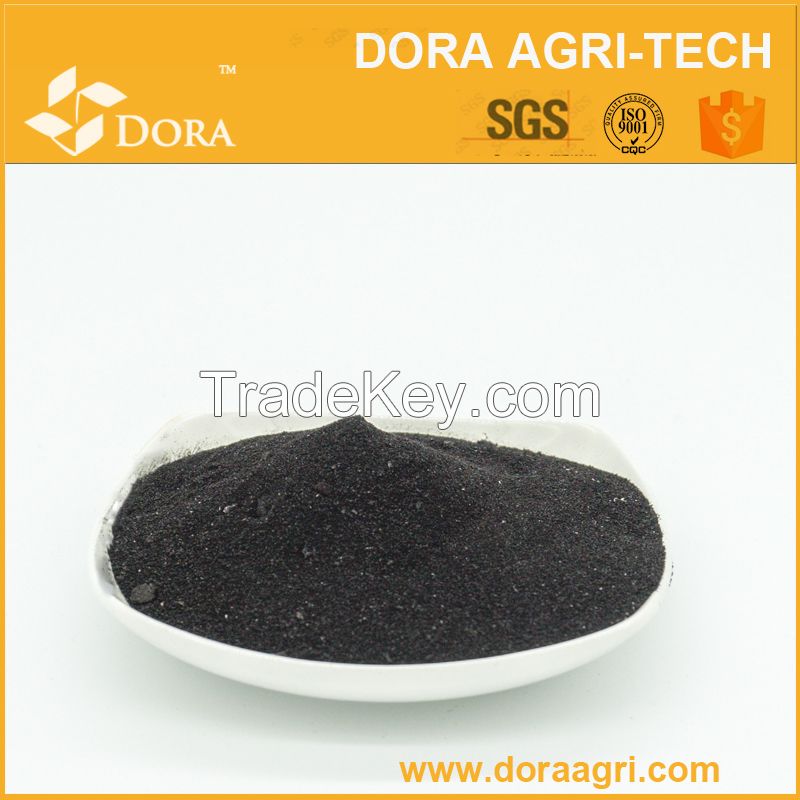 DORA Alga Power(seaweed extracts with low P)