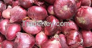 Shape onion  with best quality in 2018 ( Anna + 84988332914)