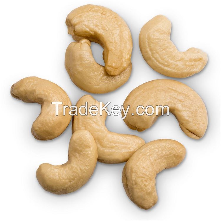 Top Grade Dried Cashew Best Price Wholesale Cashew Nuts Cashew Nut Supplier