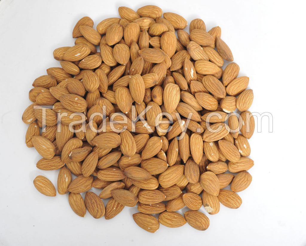 Almond Nuts