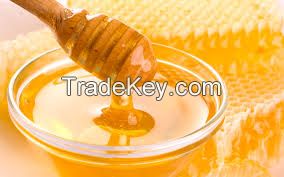 Honey &amp; Honey Products