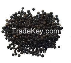 Dried Black Peper 500gl/ Black Pepper 550gl