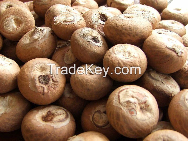 Betel Nut (whole and split with good cut)