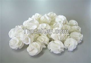 Baby Bee Shrimp Shelter