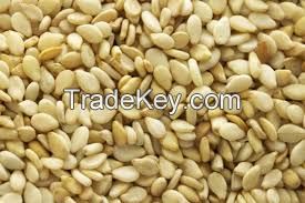 SESAME SEEDS