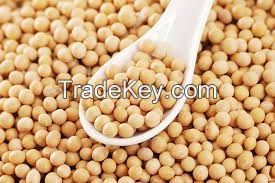 SOYBEANS