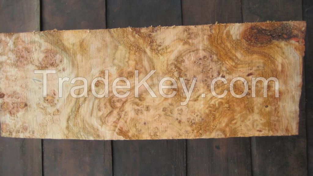 Poplar burl Lumber wood Pappel Maser Holz