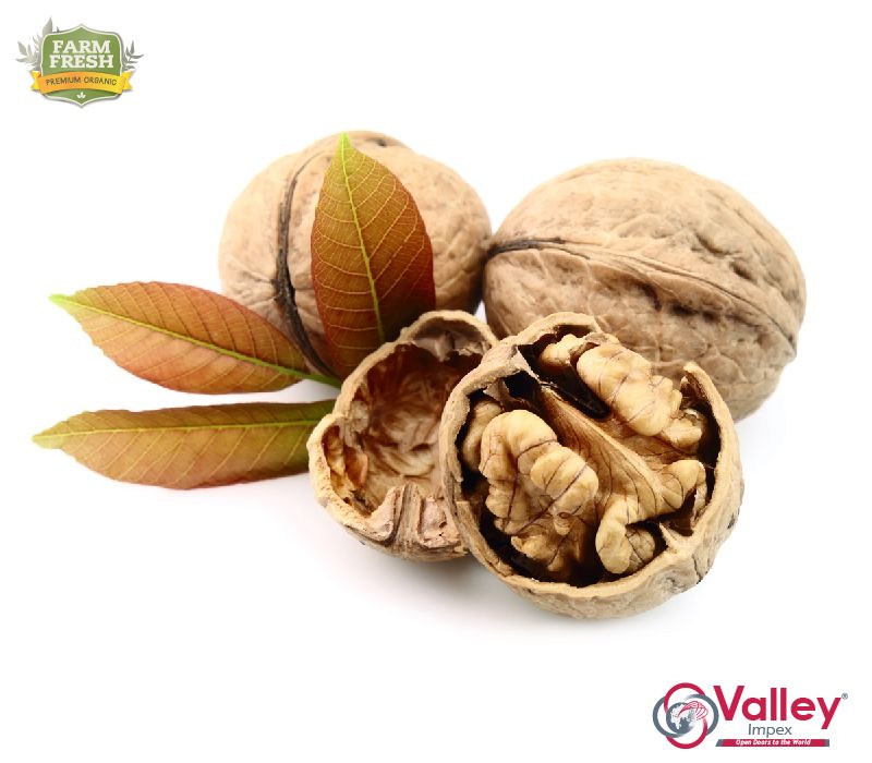 Walnut Shelled Organic Kashmiri Akhrot Premium Grade