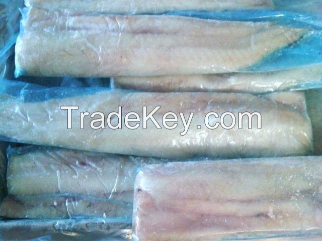 Frozen Hake Fish Fillet