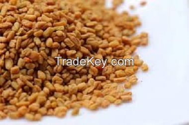 Fenugreek