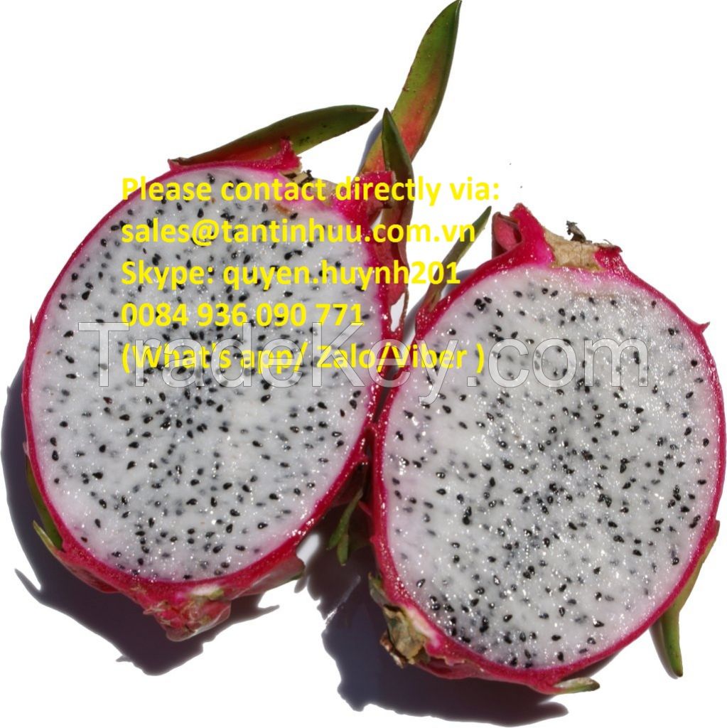 Dragon fruit from Viet Nam with best price and high quality 