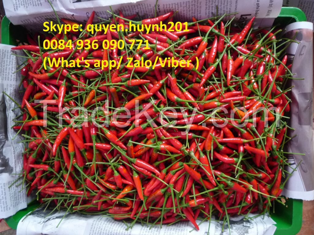 Fresh chilli from Viet Nam with best price and high quality. 