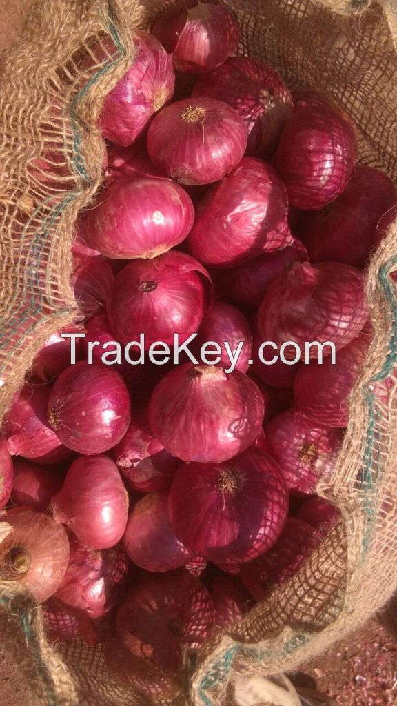 Red Onion