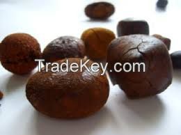 golden brown gallstone