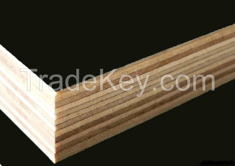 19mm black film faced plywood for building construction