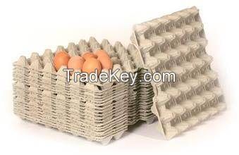 Egg Tray Machine waster paper Automatic egg tray machine with high qua