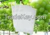 Grape Growing Paper Bag, Grape Protection Paper Bag, Grape Packaging Paper, Paper for Fruit Growing Use