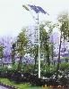 Solar Street Light