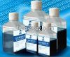 Enzyem Gel Breaker 