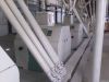 maize flour milling ma...