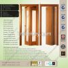 Folding Door with visi...