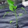 Agriculture high quality PP woven weed mat used for landscaping weed control