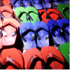 Amphibian Slipper