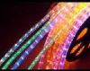 LED Rope Light (LED Ra...