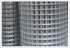 Galvanized Welded Wire Mesh