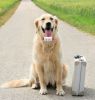 TKSTAR mini pet gps tr...