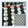 PVC coated Chain Link ...