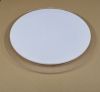 simplicity ceiling light
