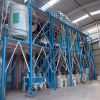 50mt per day wheat flo...