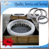 Slewing Ring Bearing C...
