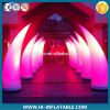 Colorful led lighted p...