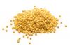 &acirc;��Good Quality Organic Millet for sale