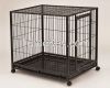 Dogs Application and P...