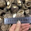 4-5CM Dried Tea Flower Mushroom Shiitake Whole in Bulk